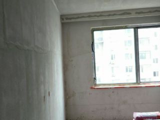 现场木制品造型施作