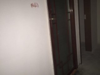 成品门及墙纸铺贴