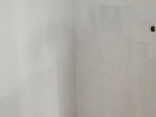 墙、顶面乳胶漆