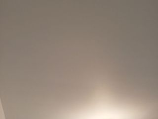 墙、顶面乳胶漆