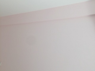 墙、顶面乳胶漆