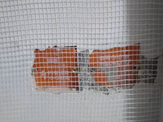 墙、顶面腻子批嵌