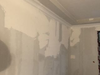 墙、顶面腻子批嵌