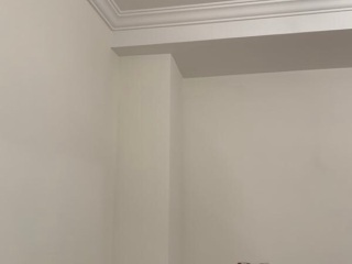 墙、顶面乳胶漆