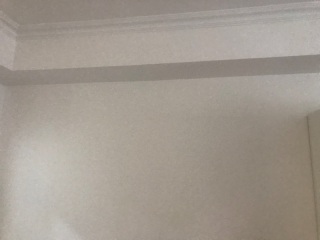 墙、顶面乳胶漆