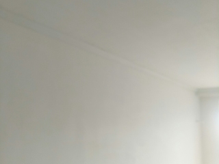 墙、顶面腻子批嵌