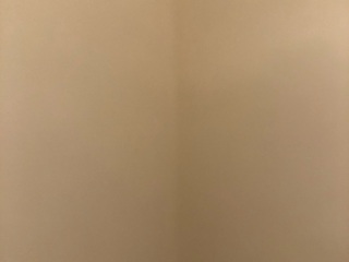 墙、顶面腻子批嵌