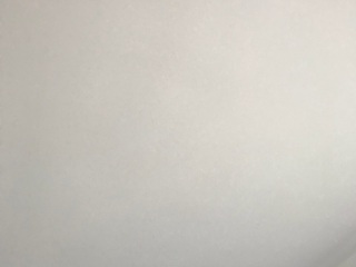 墙、顶面乳胶漆