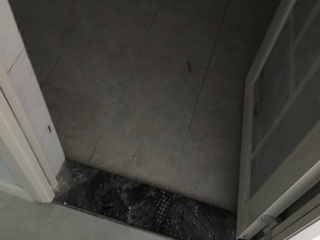 成品门及墙纸铺贴