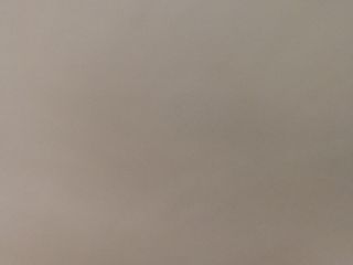 墙、顶面乳胶漆