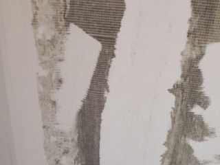 墙、顶面腻子批嵌
