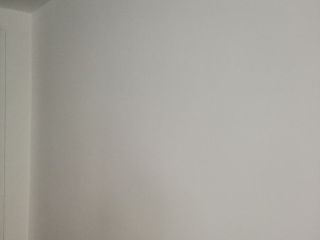 墙、顶面乳胶漆