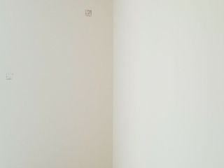 墙、顶面乳胶漆及墙纸铺贴