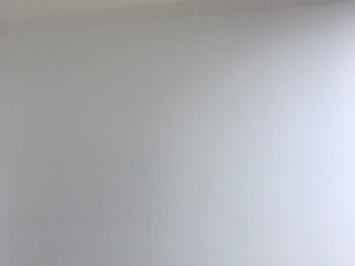 墙、顶面乳胶漆