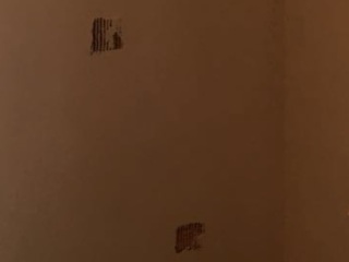 墙、顶面腻子批嵌