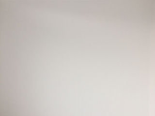 墙、顶面腻子批嵌