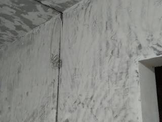 成品门及墙纸铺贴