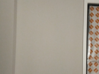 墙、顶面乳胶漆