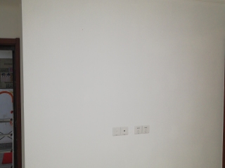 墙、顶面腻子批嵌