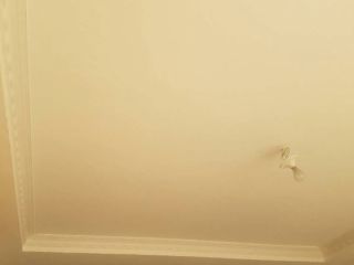 墙、顶面乳胶漆