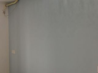墙、顶面乳胶漆