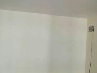 墙、顶面乳胶漆