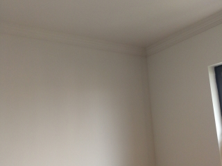 墙、顶面乳胶漆