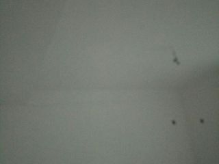 墙、顶面乳胶漆及墙纸铺贴