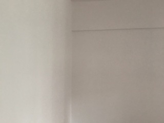 墙、顶面腻子批嵌