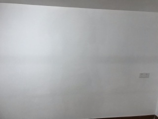 墙、顶面腻子批嵌