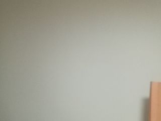 墙、顶面乳胶漆