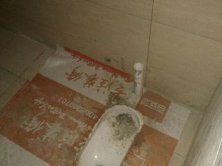 日常巡检