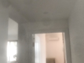 墙、顶面乳胶漆