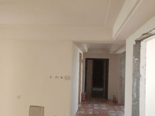 墙、顶面腻子批嵌