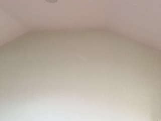 墙、顶面乳胶漆