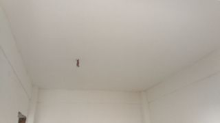 墙、顶面腻子批嵌