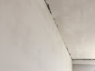 墙、顶面腻子批嵌