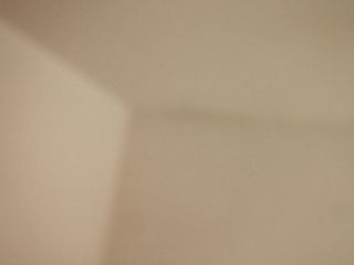墙、顶面腻子批嵌