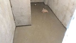 日常巡检