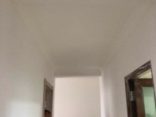墙、顶面腻子批嵌