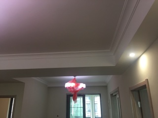 现场背景墙及隔墙施作