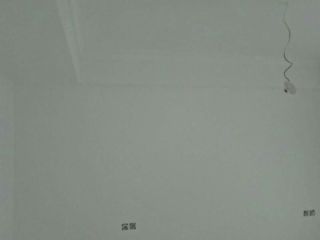 墙、顶面腻子批嵌