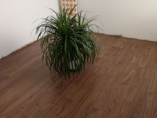竣工验收