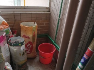 日常巡检