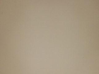 墙、顶面腻子批嵌