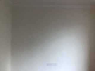 墙、顶面腻子批嵌