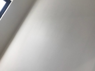 墙、顶面腻子批嵌