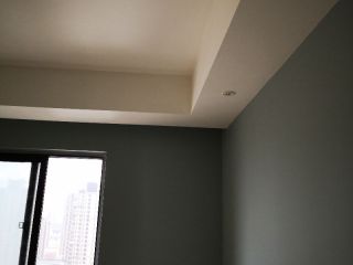 墙、顶面腻子批嵌