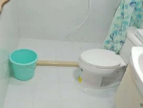 杨浦老房