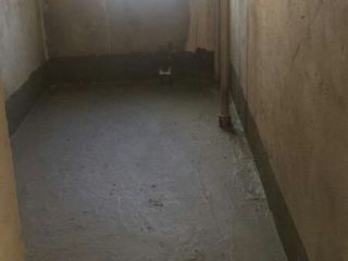 日常巡检